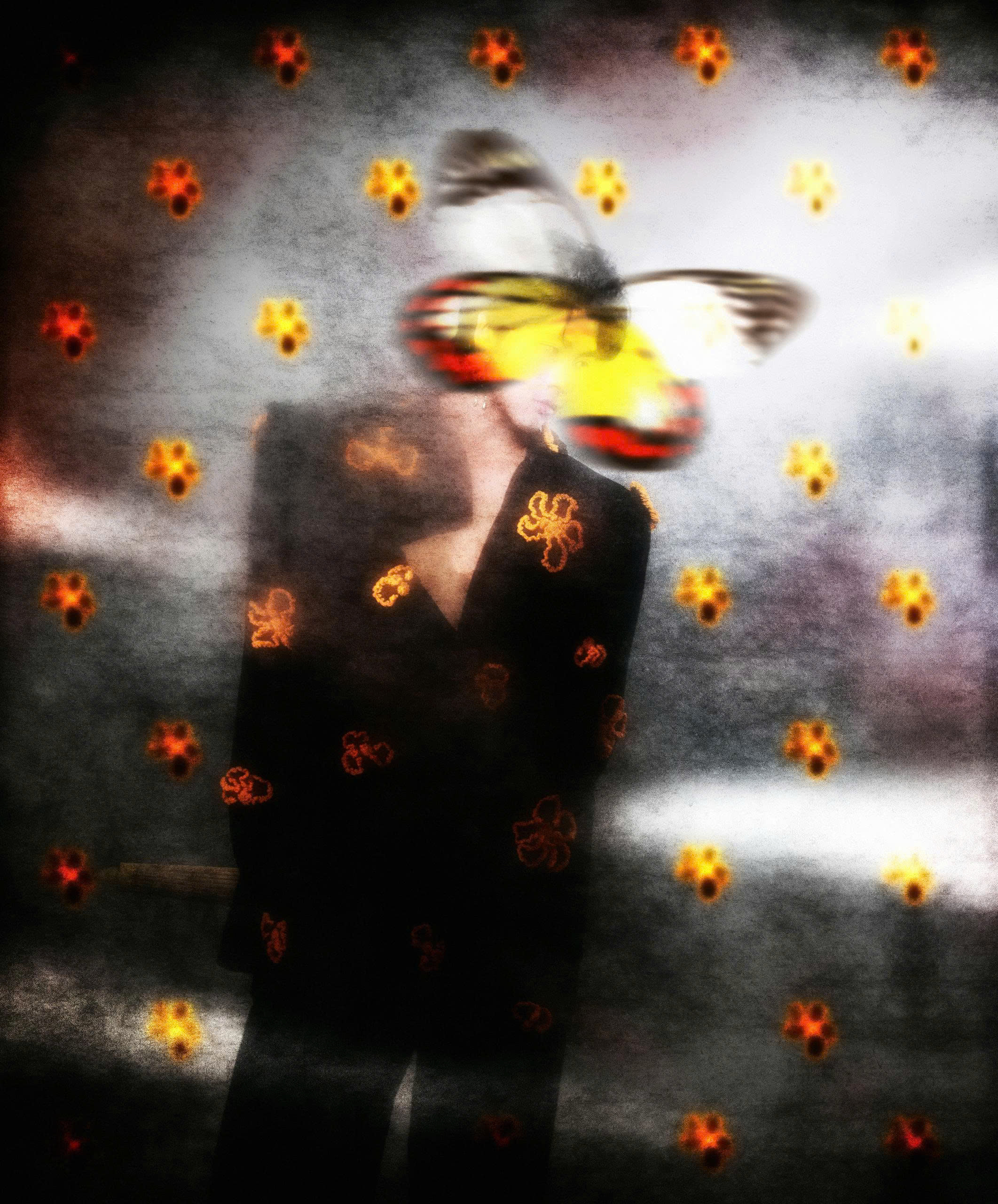 SORTIR DU SONGE BST An Lâm